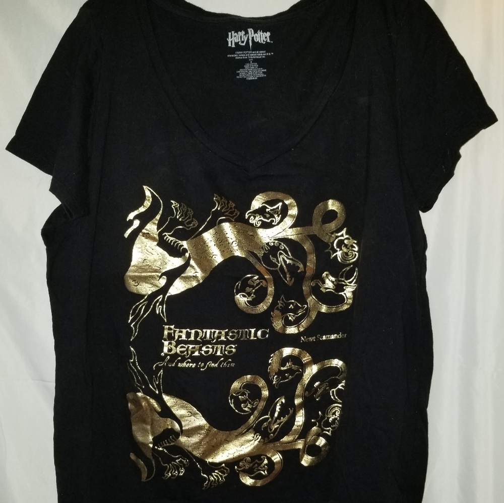 Harry Potter Fantastic Beast top size 3